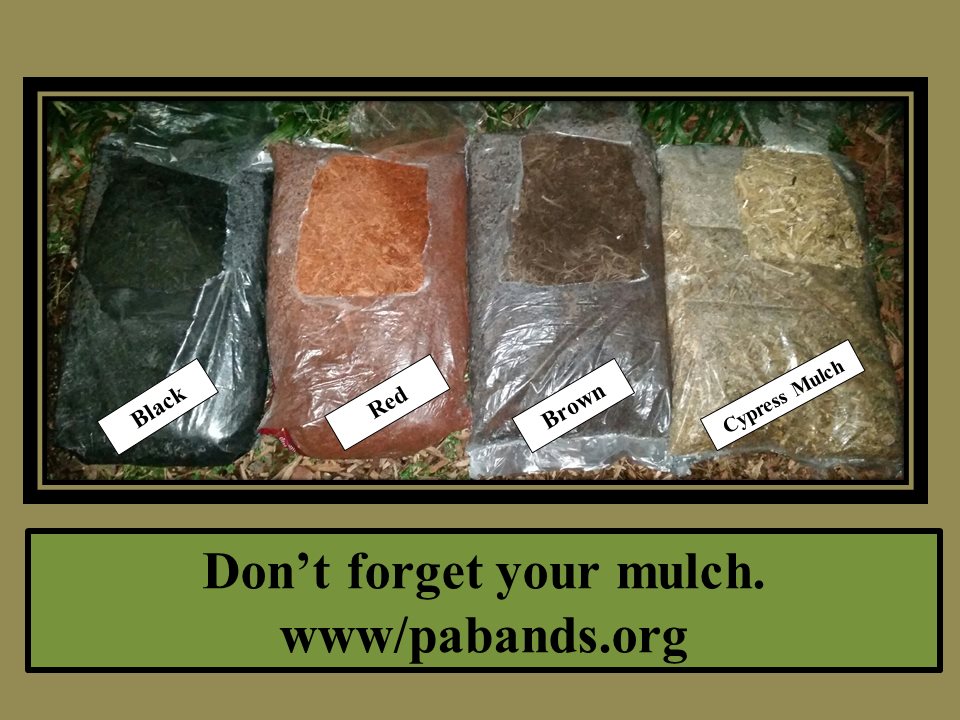 Mulch pic